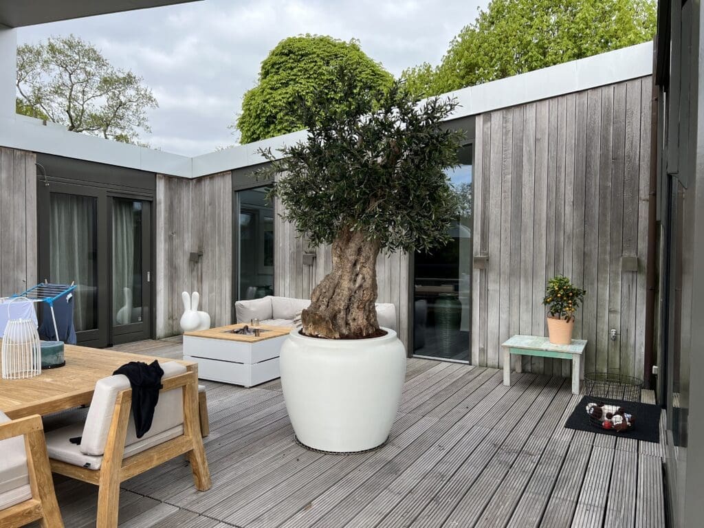 Luxe kunstboom dakterras - STYLERZ24