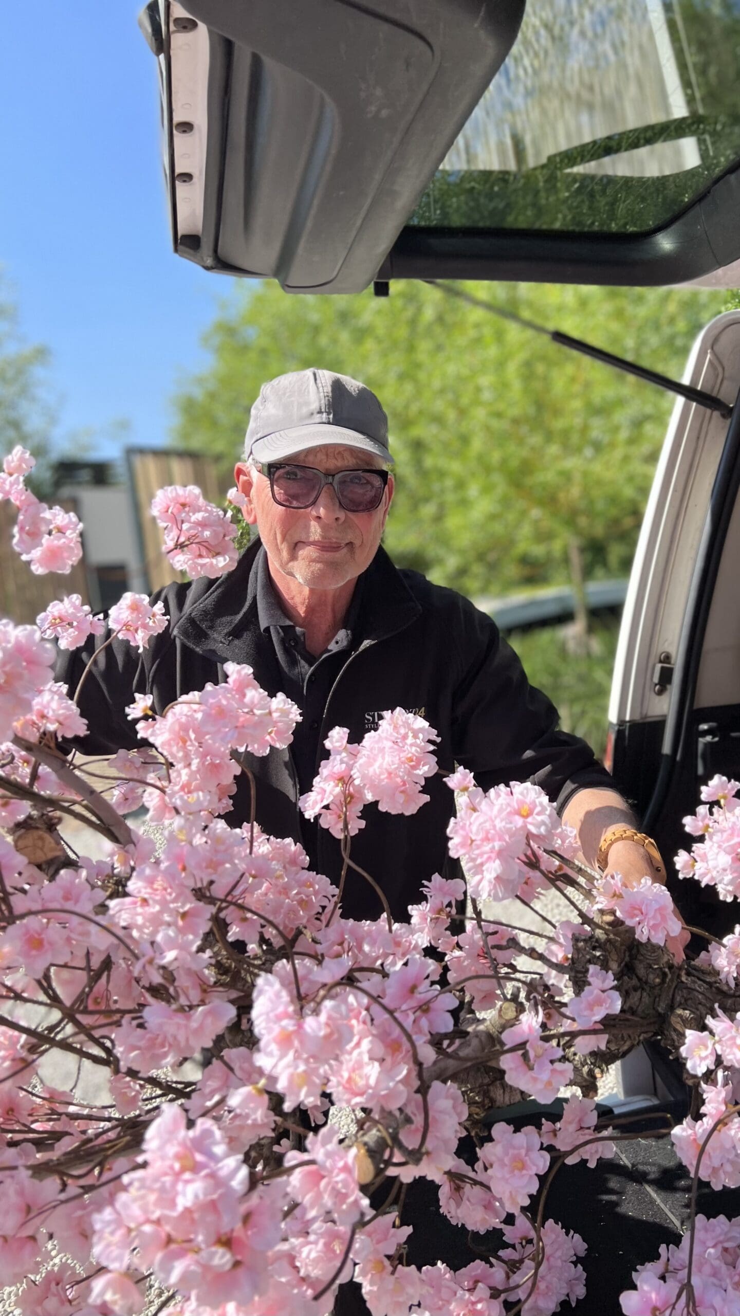 Bloesemboom roze - Afbeelding 2