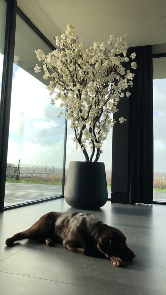 Maatwerk kunstbomen voor interieur op maat gemaakt door STYLERZ24