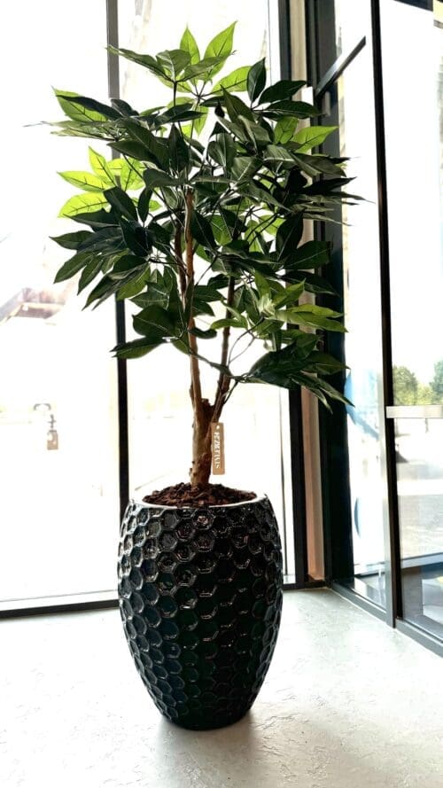 Kunstplant Scheflera - STYLERZ24