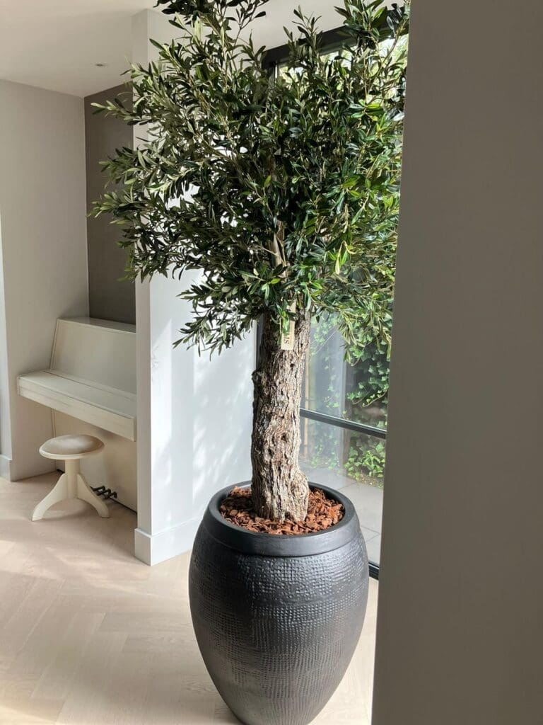 Kunst olijfboom binnen - op maat gemaakt door STYLERZ24