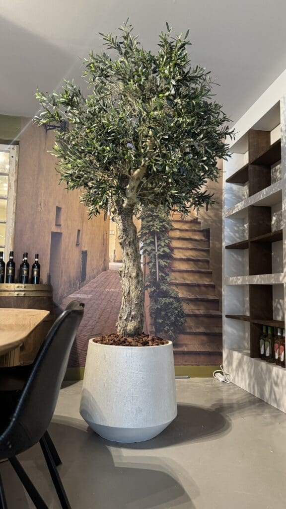 Kunst olijfboom op maat gemaakt - STYLERZ24