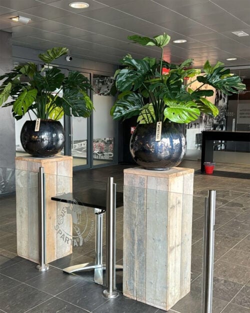 Kunstplant Monstera Sparta - door STYLERZ24