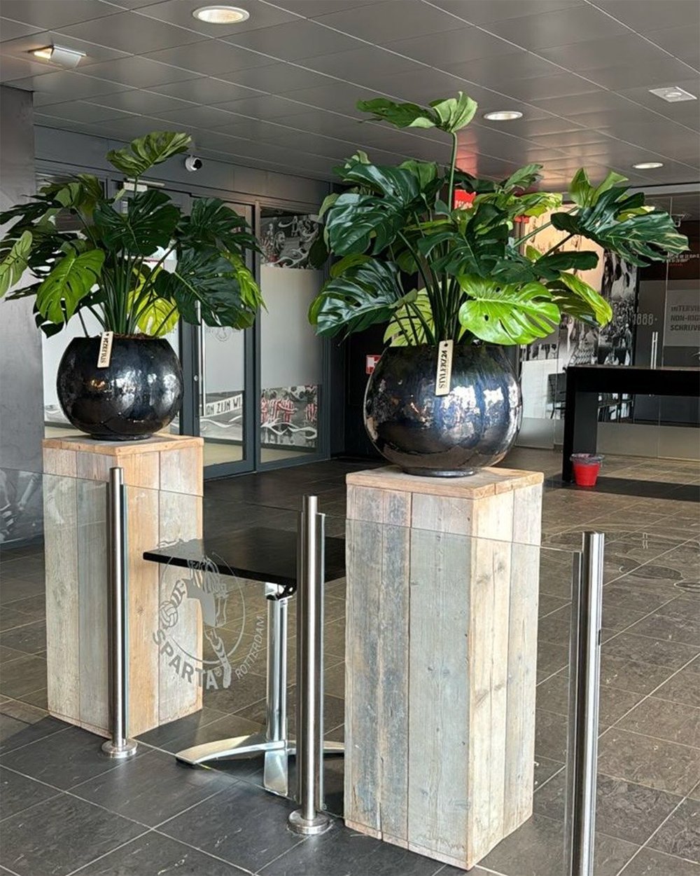 Kunstplant Monstera Sparta - door STYLERZ24