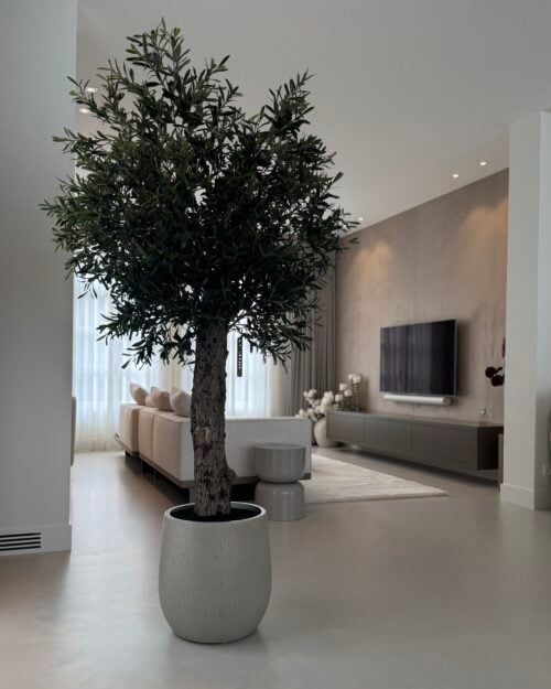 Kunst olijfboom binnen - op maat gemaakt door STYLERZ24