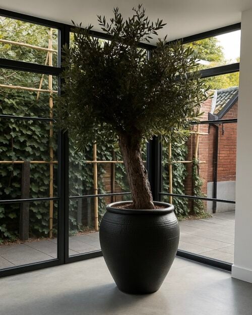 Kunst olijfboom serre - op maat gemaakt door STYLERZ24