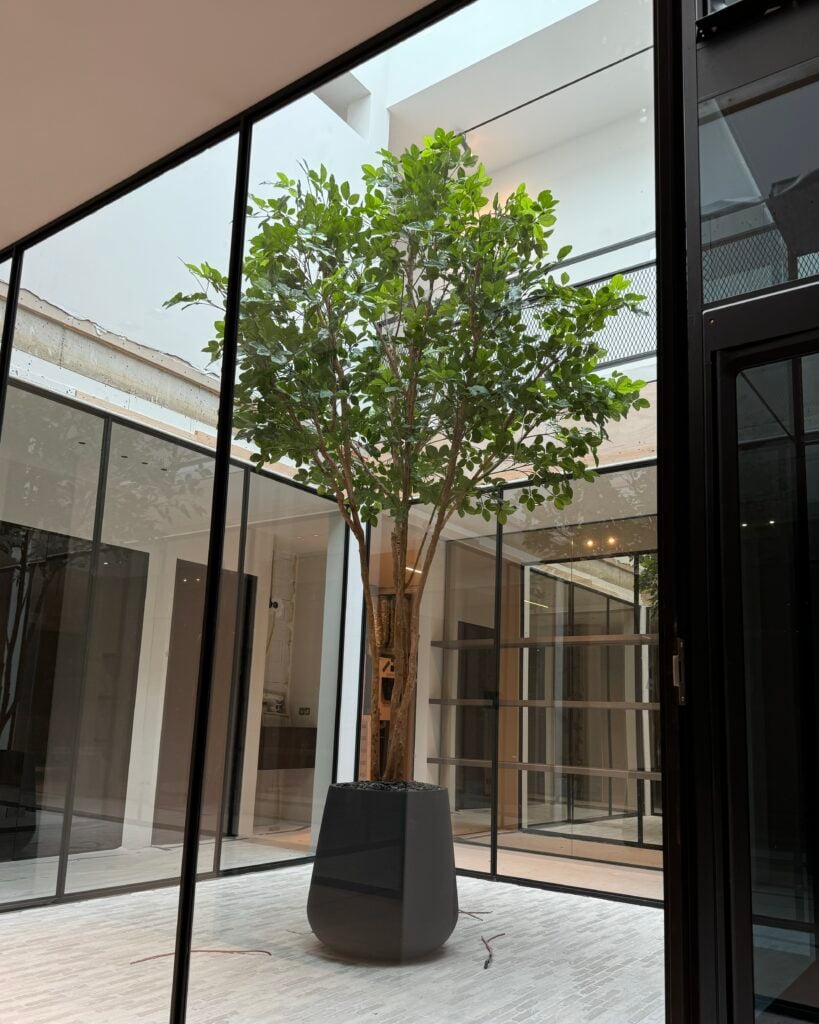 Kunst Beukenboom 3,5 meter in luxe kelderpatio, handgemaakt op echte stammen | STYLERZ24