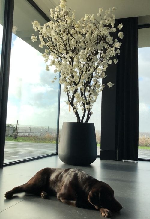 Maatwerk kunstbomen voor interieur op maat gemaakt door STYLERZ24