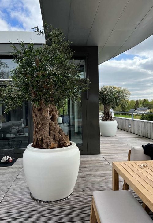 Kunstboom voor interieur - op maat gemaakt STYLERZ24