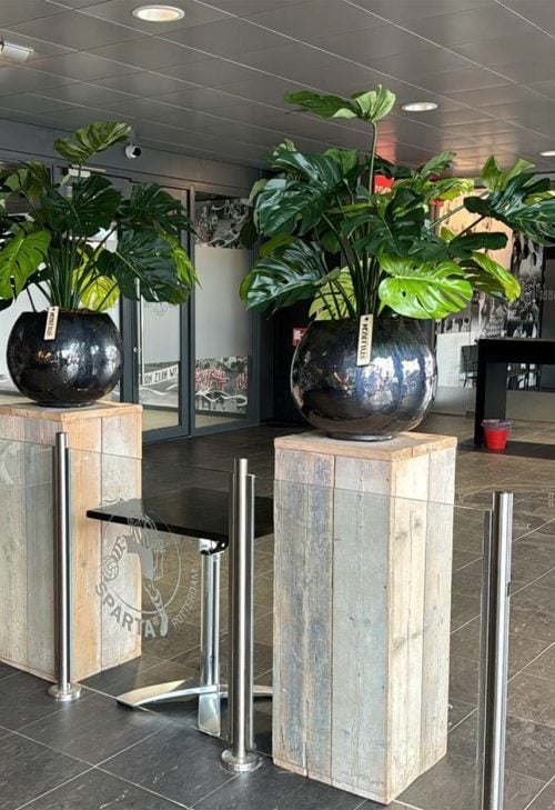 Kunstplant Monstera Sparta - door STYLERZ24