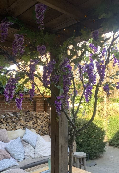 Paarse Wisteriaboom in veranda - op maat gemaakt door STYLERZ24