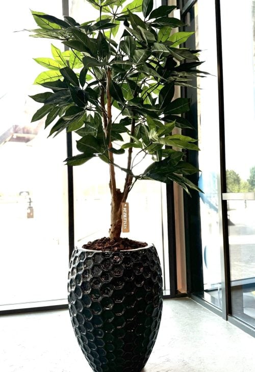 Kunstplant Scheflera - STYLERZ24