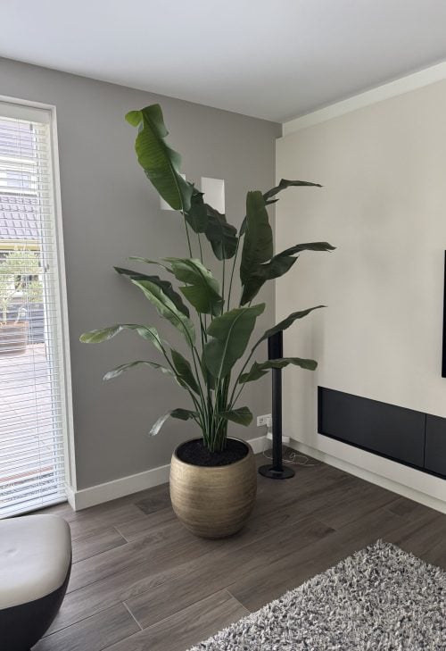 Zijden plant Strelitzia kunstplant STYLERZ24
